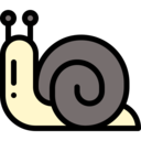 animals,zoology,bugs,insects,snail,entomology,slug