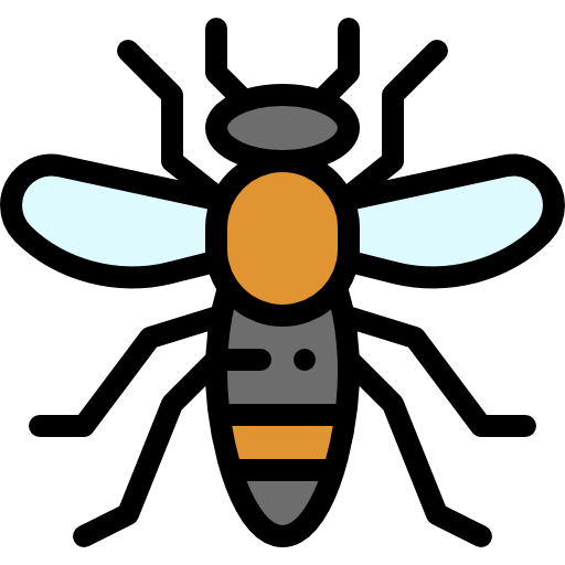 Insect