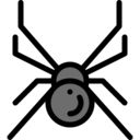 animals,bug,spider,insect,entomology