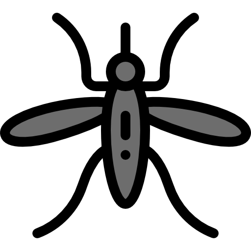 Mosquito