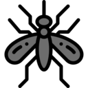 animals,bug,insect,entomology,mosquito
