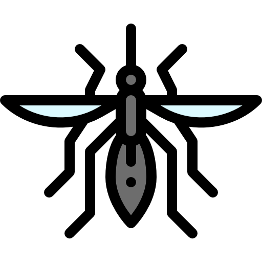 Mosquito