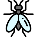 animals,bug,insect,fly,entomology