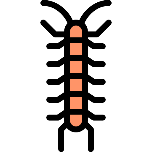 Centipede