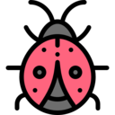 animals,bug,nature,animal kingdom,insect,ladybug,Ladybird