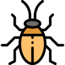 animals,bug,insect,entomology
