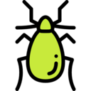 animals,bug,animal,insect,entomology,termite ok 