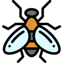 animals,bug,insect,fly,entomology