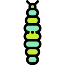 animals,animal kingdom,insect,worm,caterpillar ok 