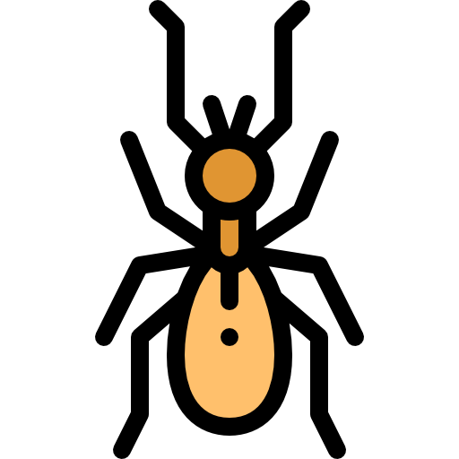 Termite