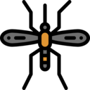 animals,bug,insect,entomology,mosquito
