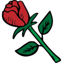 nature,love,botanical,valentines day,romantic,gardening,valentines,romance,roses,rose