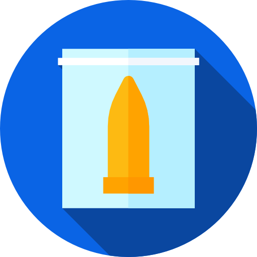 Bullet