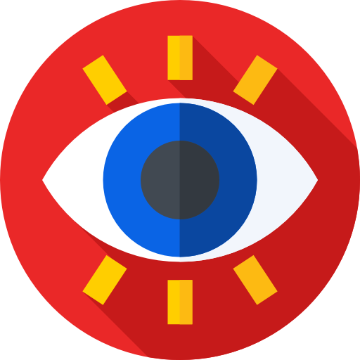 Vision