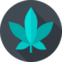 cultures,healthcare and medical,nature,unhealthy,botanical,leaf,drug,Weed,Cannabis,Marijuana