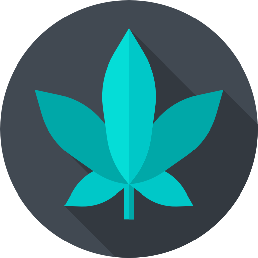 Marijuana