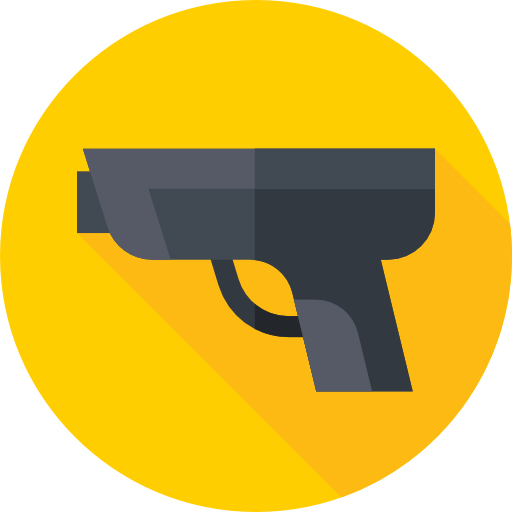 Gun