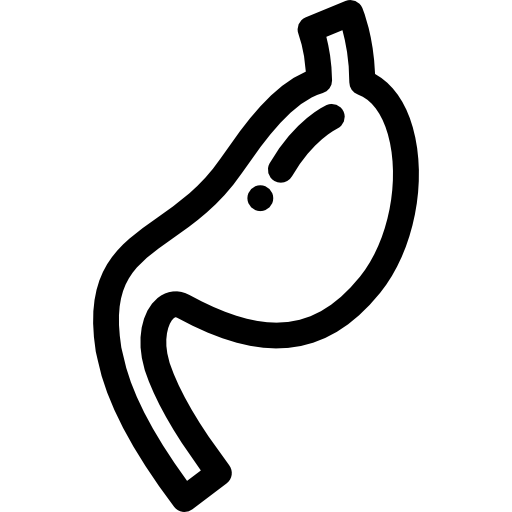Stomach