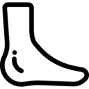 medical,medicine,body part,biology,anatomy