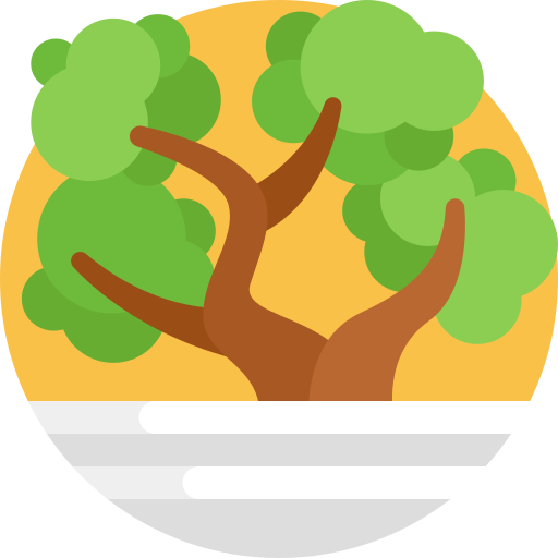 Bonsai