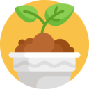 nature,pot,plant,farming and gardening,sprout,gardening,spring,growth,plant pot,growing plant