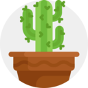 decoration,dry,nature,pot,plant,botanical,farming and gardening,ornamental,gardening,decorative,table,garden,flower,cactus,plant pot,botanic,florist ok 