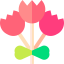 Birthday icon 64x64