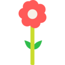 nature,botanical,flower,blossom,petals,poppy ok 