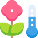 weather,nature,plant,temperature,leaf,gardening,garden,flower,climate ok 
