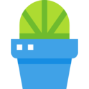 decoration,ecology and environment,nature,pot,plant,farming and gardening,gardening,leaves,flower,plant pot,botanic,flower pot,home decoration,shrub