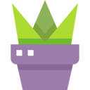 nature,pot,farming and gardening,gardening,leaves,flower,plant pot,botanic,flower pot,home decoration,shrub ok 