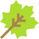 nature,plant,botanical,leaf,garden,maple leaf,autumn,fall