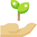 nature,hand,plant,hands and gestures,natural,leaf,herbs,leaves,spa,planting,maturity,properties,healing,gardering ok 
