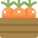 food,carrot,healthy food,food and restaurant,box,ingredient,vegetables,farming and gardening,farm,harvest,farming,carrots ok 