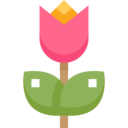 nature,botanical,garden,flower,blossom,tulip,tulips ok 