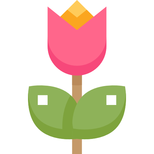 Tulip