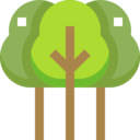 landscape,nature,trees,woods,forest,pines ok 