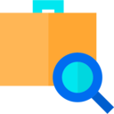 travel,briefcase,suitcase,luggage,baggage,inspection,case