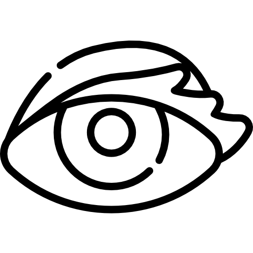 Eye