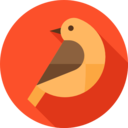 animals,pet,nature,bird,animal,wings,flying,robin