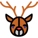 animals,mammal,wild life,animal kingdom,zoo,deer