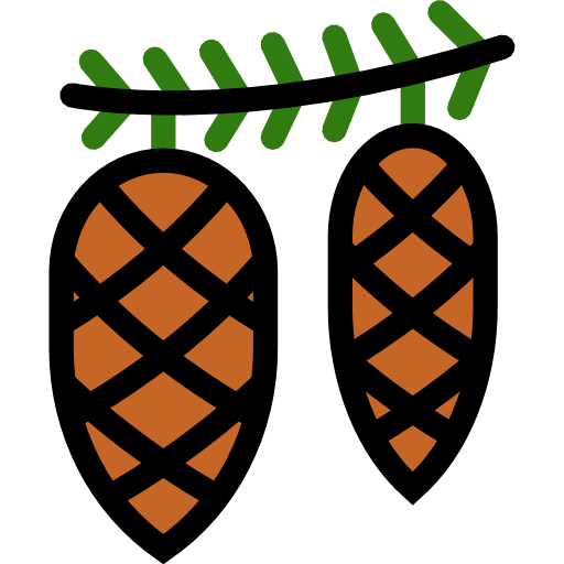 Cones