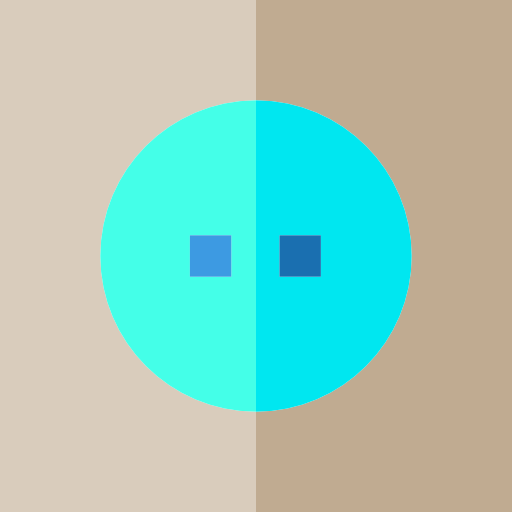 Socket