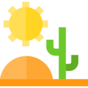 sun,landscape,nature,cactus,desert