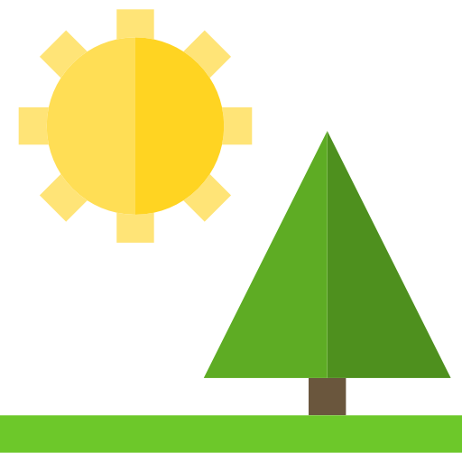 Sunny