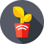 Favicon