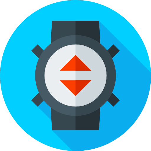 Wristwatch