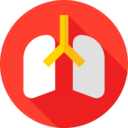 food and restaurant,healthcare and medical,medicine,organs,organ,anatomy,breathing,human body,breath,lungs,lung