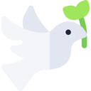 animals,peace,bird,animal,pigeon,dove,fly,wings