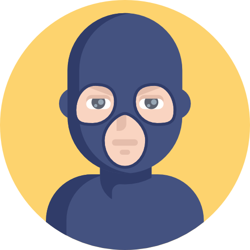 Burglar